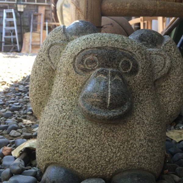 ムツゴロウの顔